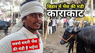 बिहार की सबसे सस्ती भैंस की मंडी काराकाट | Karakat Pashu Mandi Bihar 2021| Bhains ki Mandi