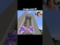 Momen Tangga Camel Minecraft