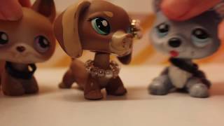 LPS Dare Central: She Started it! (Ep1)