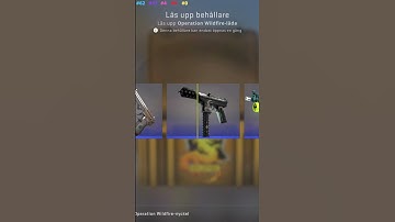 Opening a CS:GO case every day until i get a knife or gloves, Operation Wildfire Case, Day 82