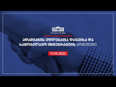 ადამიანის უფლებათა დაცვისა და სამოქალაქო ინტეგრაციის კომიტეტის სხდომა - 11.10.2022