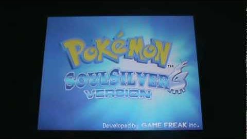 how to delete pokemon ss/hg saved data