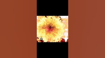 Which gubzor scream is real? #gorebox