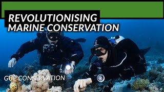 Revolutionizing Marine Conservation: The Marine Genome Project