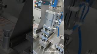 Hanyoo DPP-170 Fully automatic soft capsule blister packaging machine #pharmaceuticalmachinery