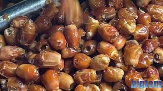 PRUNES PITTERS - DATES PITTING TEST