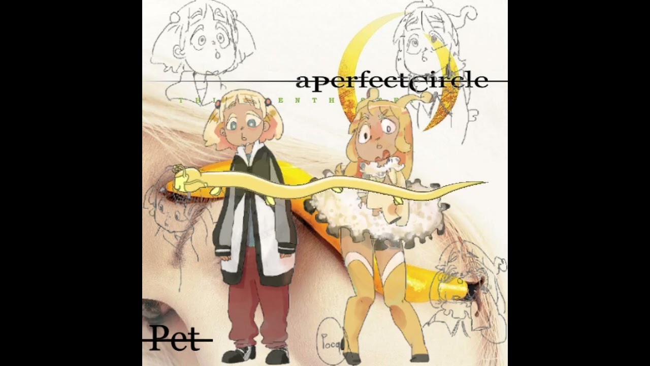 A Perfect Circle Pet NIGHTCORE YouTube 