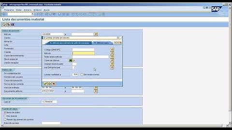 Convertir de SAP a EAN MB51