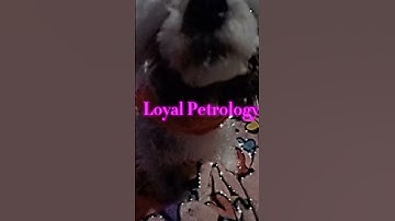 Here my part done for the mep (only her i tagged can take this edit) @poison.iveyroo