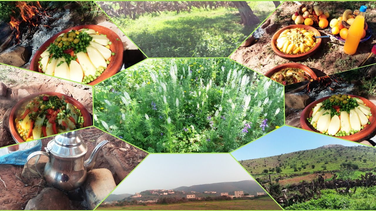 خرجة مع  الأحباب في الطبيعة