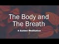 The body and the breath  a guided meditation  garavavati