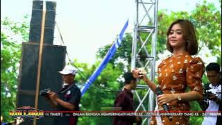 Mengejar Badai - Tiara Amora | New Pallapa Remtang 2022