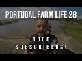 Portugal Farm Life - 28 - One Thousand subscriber special!