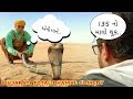 Total dhamaal gujarati new comedy gujarati dubbed