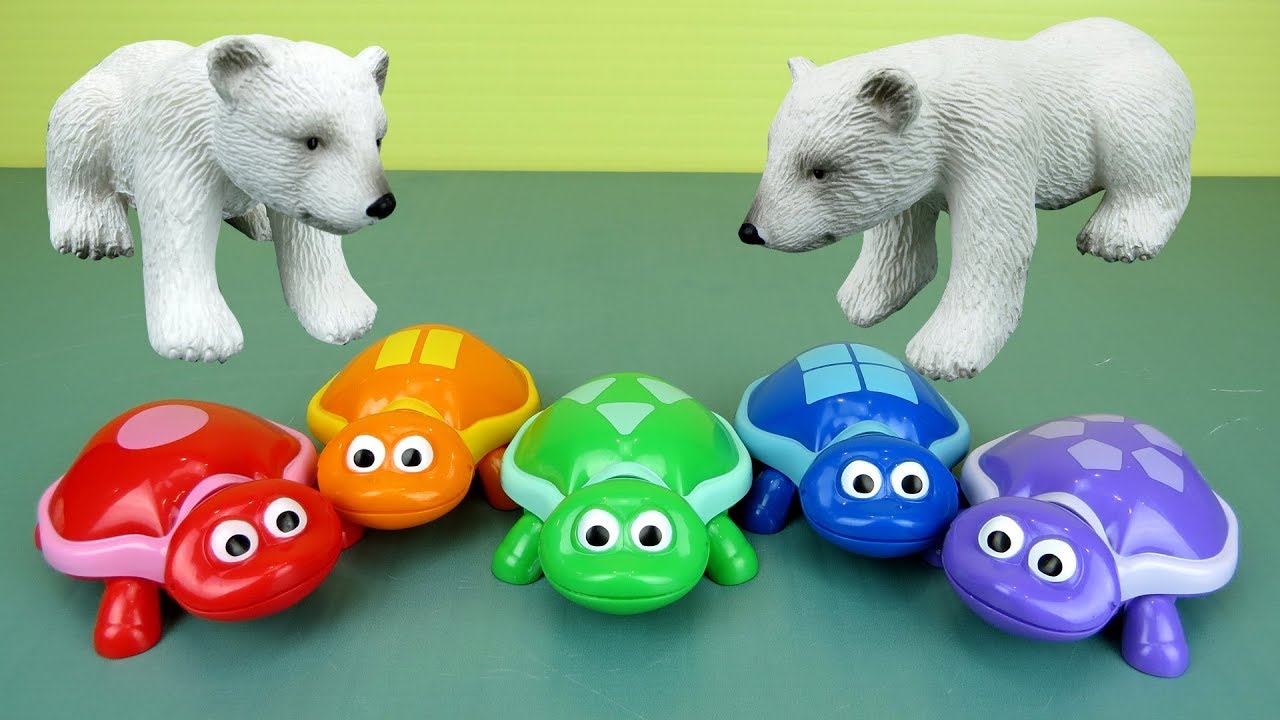 POLAR BEAR learns to count - Turtles - Shapes - Numbers