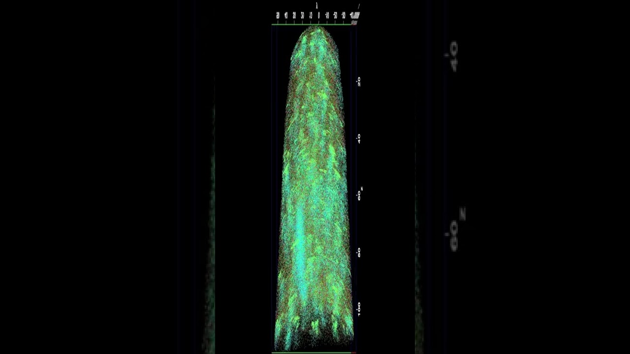 Army scientists explore nanomaterials | Nanotechnology Conferences