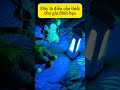 Bạn có thể tận hưởng ánh nắng mọi lúc, mọi nơi. Đây thực sự là điều cần thiết cho mọi gia đình