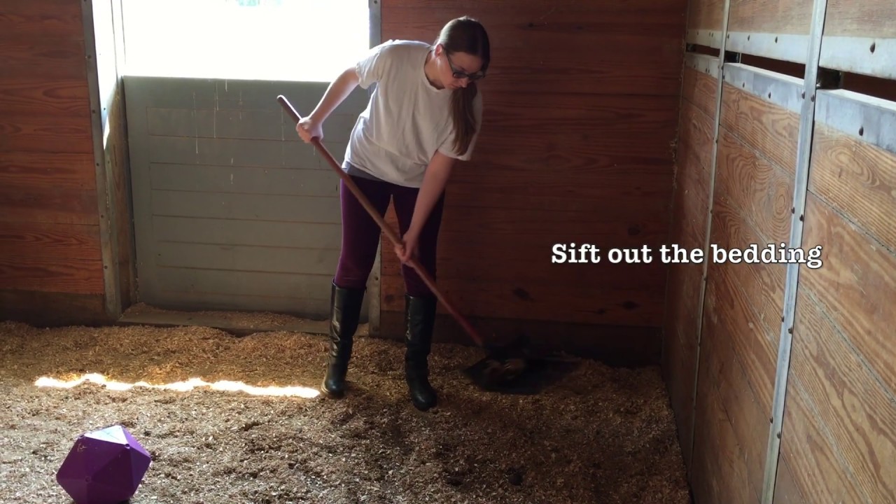 How To Muck A Stall YouTube How To Muck A Stall YouTube