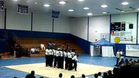 ZETA PHI BETA SPRING 