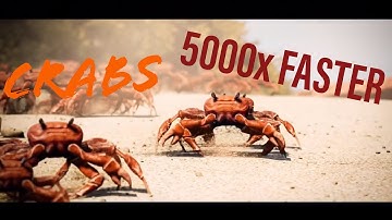 Crab Rave 2x, 4x, 8x, Up To 5000x FASTER