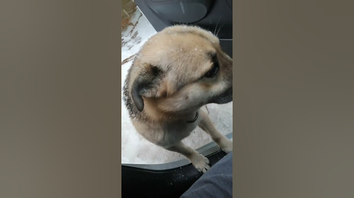 вот в чём отличие