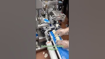 Gondor Fully Automatic Dumpling Machine - Commercial Dumpling Machine Solution #foodprocessing