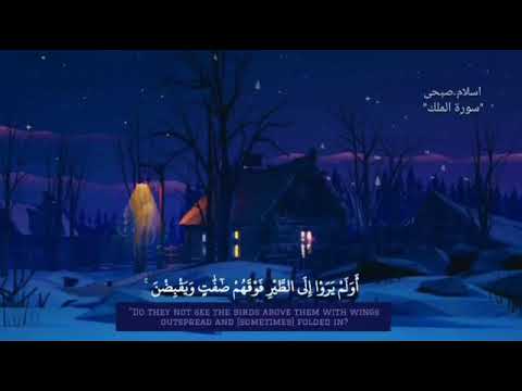 أولم يروا إلى الطير فوقهم صافات ويقبضن اسلام صبحي