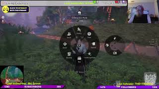 random stream test