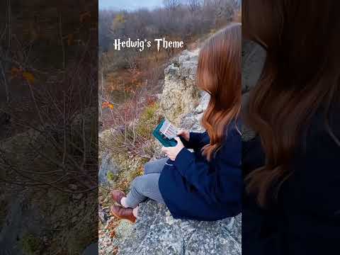 Hedwig's theme. Harry Potter ost. Саундтрек из фильма Гарри Поттер на калимбе #гаррипоттер #калимба