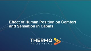 Thermal Comfort Sensitivity of Human Position for Cabin HVAC Design