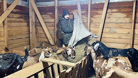 В НАШУ СЕМЬЮ ПРИШЛА БЕДА! ПРОДАЕМ ЖИВОТНЫХ! НАША ФЕРМА! ЖИЗНЬ ПРОСТЫХ ЛЮДЕЙ В ДЕРЕВНЕ!