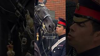 Goodbye Kiss from The Household Cavalry 😢