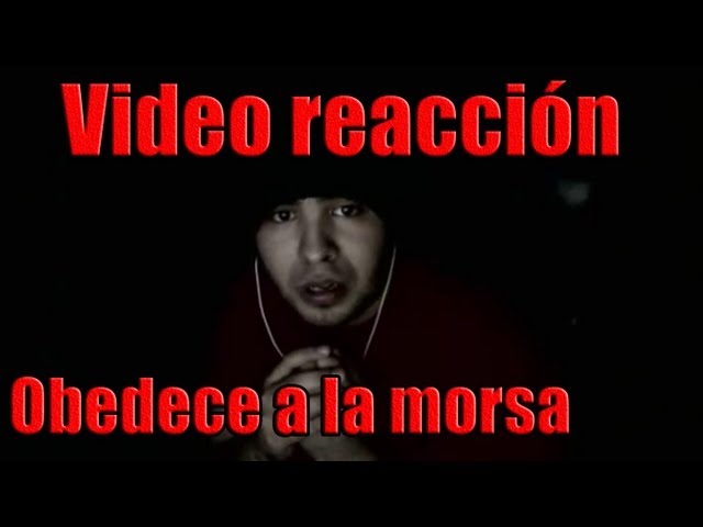 Revive tus pesadillas con el video original de obedece a la morsa