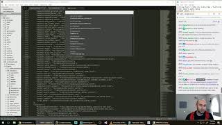 Stonehearth Dev Stream 327: Alpha 24+ Q&A and Bug Fixing with Max (Part 2)