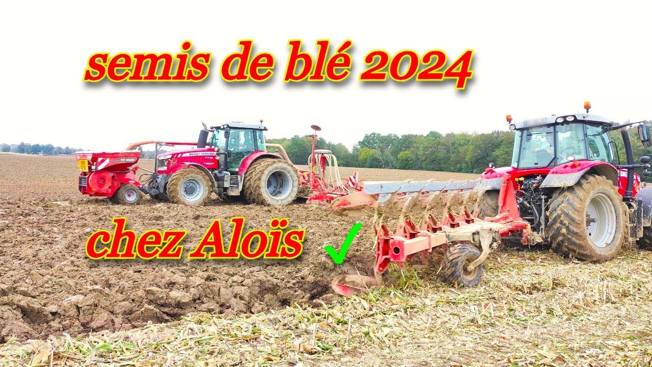 Chez Aloïs c'est semis de blé🌾 FULL MASSEY FERGUSON🚜