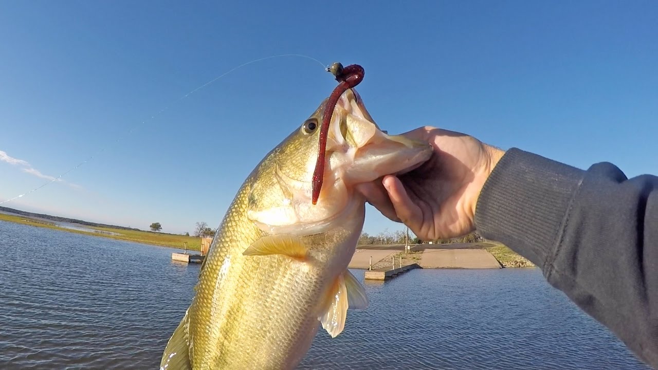 Trick Worms Bass Fishing Domination 