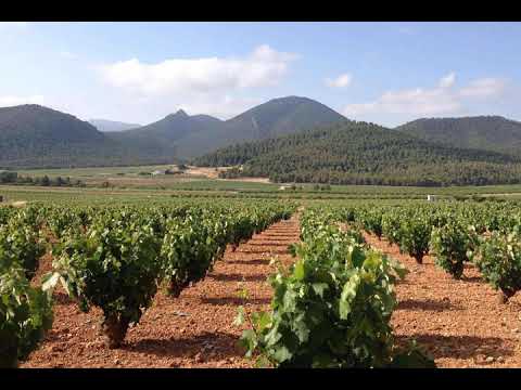 Ep 326: The Best Spanish Wines You've Never Heard of -- Jumilla and Yecla