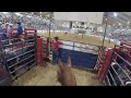 WHAT IT'S REALLY LIKE AT A PRO RODEO WITH A YOUNG HORSE (BTS)