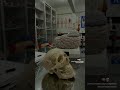 والي قال لا مش هتوصل  امل ثانويه عامه تحفيز طب دراسه تحفيز عافر حلمك يستاهل