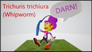 Trichuris trichiura (Mnemonic for the USMLE) screenshot 4