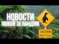 НОВОСТИ Новой Зеландии 31.10.2020