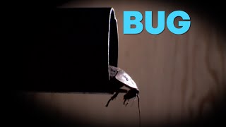 Bug - Trailer - Movies Tv Network
