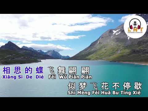 许你一场风花雪月 Xu Ni Yi Chang Feng Hua Xue Yue 魏佳艺 Wei Jia Yi  Vocal