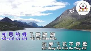 许你一场风花雪月 Xu Ni Yi Chang Feng Hua Xue Yue 魏佳艺 Wei Jia Yi  Vocal