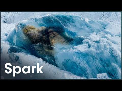 This Perfectly Preserved Mummy Was Frozen In Ice For 650 Years