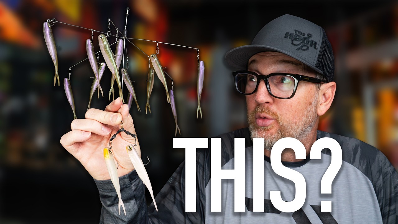 This Crazy Lure Is Taking Over Japan Fishing! (It's Too Good