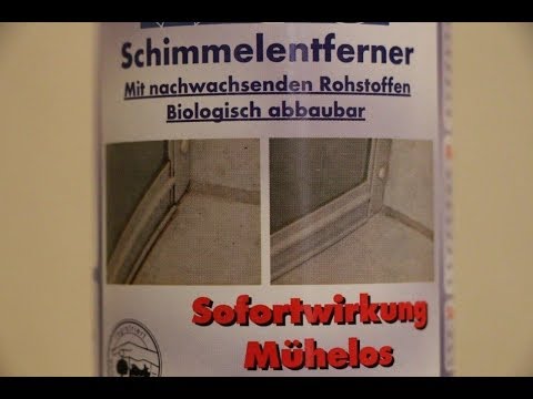 Video: Heeft schimmel sporen?