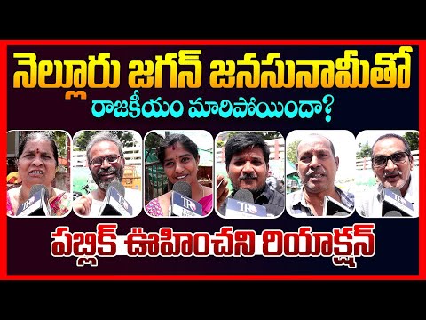 Public Reaction On Ys Jagan Nellore Tour || Chandrababu || Ap Public Talk || Pawan Kalyan || TR