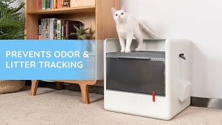 Poop Cube | A Minimalist Litter Box Prevents Litter Tracking