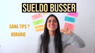 WORK AND TRAVEL: BUSSER - CUANTO GANA? || Qué hace un busser?
